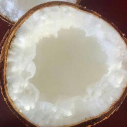 DỪA SÁP - LOẠI 1 (TRÁI)