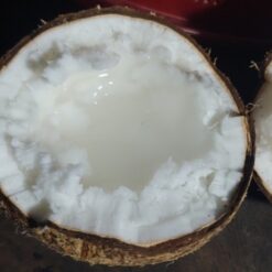 DỪA SÁP - LOẠI 2 (TRÁI)