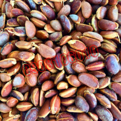 HẠT GIỐNG HỒNG NHUNG