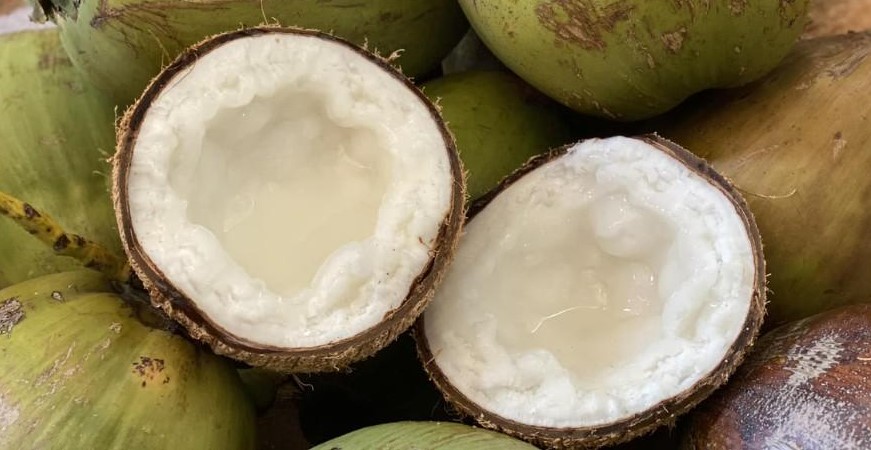 Dừa Sáp - Đặc Sản Trà Vinh